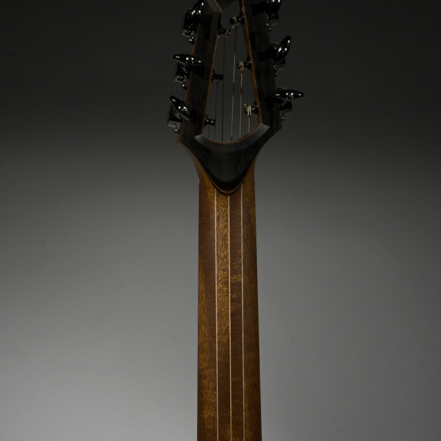 Razor Spruce and Brazilian Rosewood